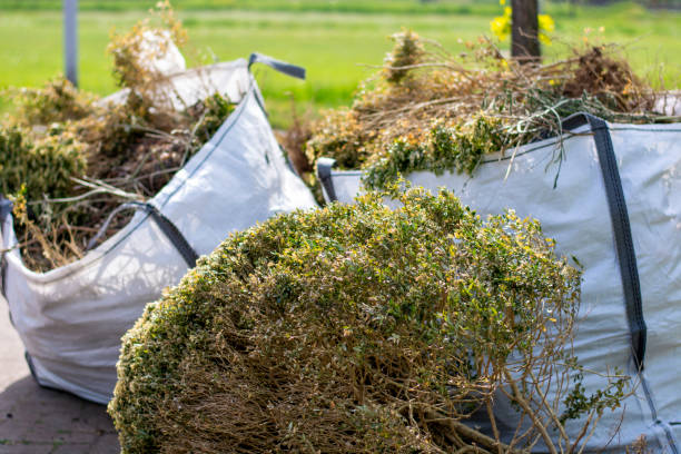 Best Demolition Debris Removal  in Ripon, WI